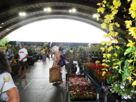 Hilo Plant Sale